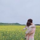 행복한아라네 이미지