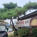 송류원 이미지
