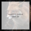리얼왁싱 - 김포시 | 리얼왁싱