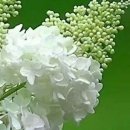 참좋다 이미지