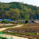 하석파경로당 이미지