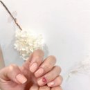 네일모아노