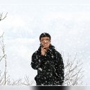 대관령전망대 이미지