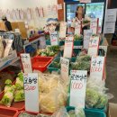 [내돈내산💵 솔직후기] 양재역 장보기 추천! 아람청과 – 신혼부부가 함께 다녀온 싸고 신선한 현금 전용...
