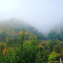 멍냥이 공작소 이미지