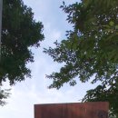 현대의상(심화) 이미지