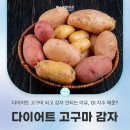 YES성형외과의원 이미지