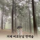 지에스25 거제수월스마일점 | 거제 비오는날 가볼만한 곳 추천 - 계룡산 편백나무숲