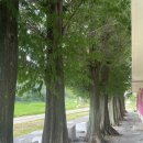 남도예담 이미지