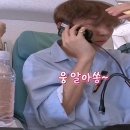 [캐럿로그] 나나투어 with 세븐틴 1화 후기 / TV랑 위버스 버전 다른 점 / 위버스 버전 구매 방법