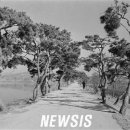 이목리 제방 이미지