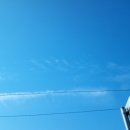 부일로83번길 이미지