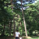 여유로운 아침의 클래식 산책 이미지