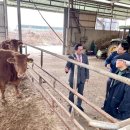 새로운축산 이미지