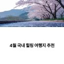 4월 국내 힐링 여행지 추천: 봄꽃과 함께하는 완벽한 휴식