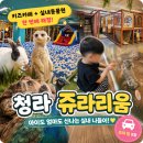 청라에너지 | [인천 아이랑 가볼만한곳] 30개월 아기랑 다녀온 청라 쥬라리움 솔직후기 (먹이체험,키즈카페)