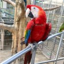 경주버드파크 이미지