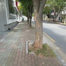 삼문로 이미지