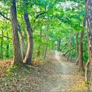 월평약수터 이미지