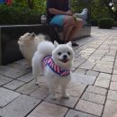 미미하우스 이미지