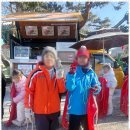 푸른경희태권도장
