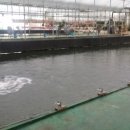 새미 낚시터 이미지