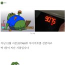 다이어트 식단이라는데...믿기가 좀~ 이미지