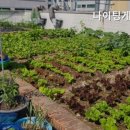 나이팅게일실버홈 네이버블로그