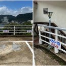 지안FOREST 이미지