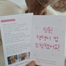 저단50 이미지