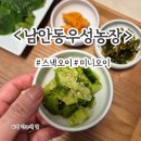 우성농장 | 스낵오이 미니오이는 &lt;남안동 우성농장&gt;