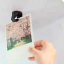 위드 마켓 이미지