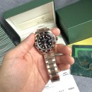 에버로즈 이미지