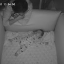 티움동물병원 이미지