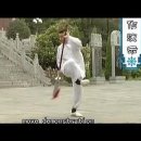 Shaolin Kung Fu weapon: big saber (b) 이미지