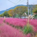 꽃단지 화장실 이미지