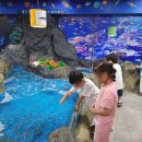 수산유치원 이미지