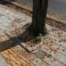 룰루랄라 PC방 이미지