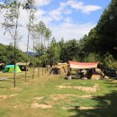 피노키오 자연휴양림 야영장 이미지