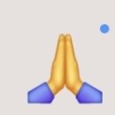 이 이모티콘 기도가 아니라 하이 파이브래 이미지