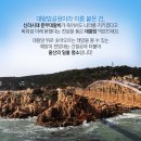 1월 1일 포항 호미곶 해맞이및 울산대왕암.태화강 트레킹 이미지