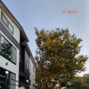 고은집펜션독채 이미지