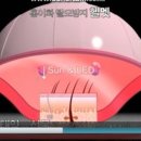 홍이화 이미지