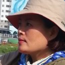 장흥장 이미지