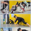 명품합기도 이미지