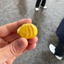 당당슬로마을 영농조합법인 | [청양] 알프스마을 얼음분수 축제 방문 후기 내돈내산 티켓예매,군밤체험, 빙어잡기, 포토존