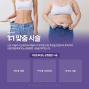 나에게 맞는 다이어트는 따로 있다 이미지