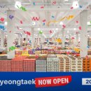 안중역초운공인중개사사무소 이미지