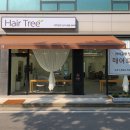 스타일 여신 | 두정동미용실 S컬펌 후기｜레이어드컷으로 자연스럽게 완성한 여신펌 스타일