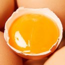 웰빙정육도매센타 - 13039 | 달걀 추천] 노른자가 탱글탱글! 고소함이 다른 산지도매센타 난각번호 1번 무항생제 유정란 20구 솔직후기